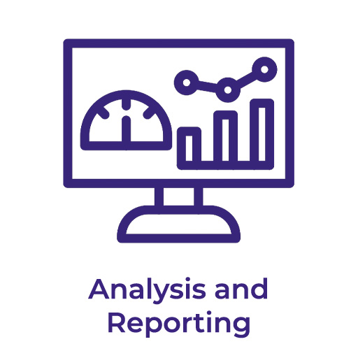 Analysis and Reporting